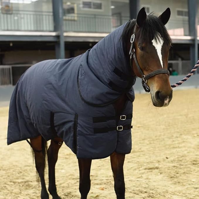 Heavy-Duty Full Neck Combo Horse Rug With Adjustable Chest Buckles and Customizable Thermal Filling