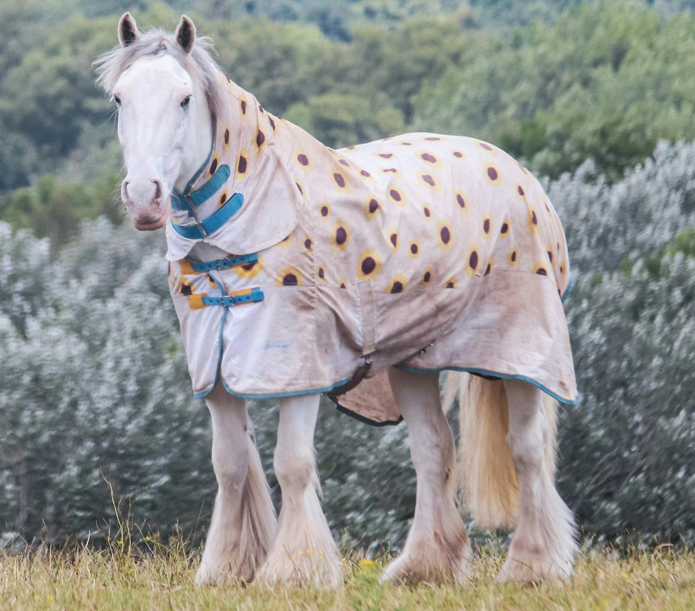 Vibrant Sunflower Print Horse Fly Rug With Full Neck Cover and UV Sun Protection